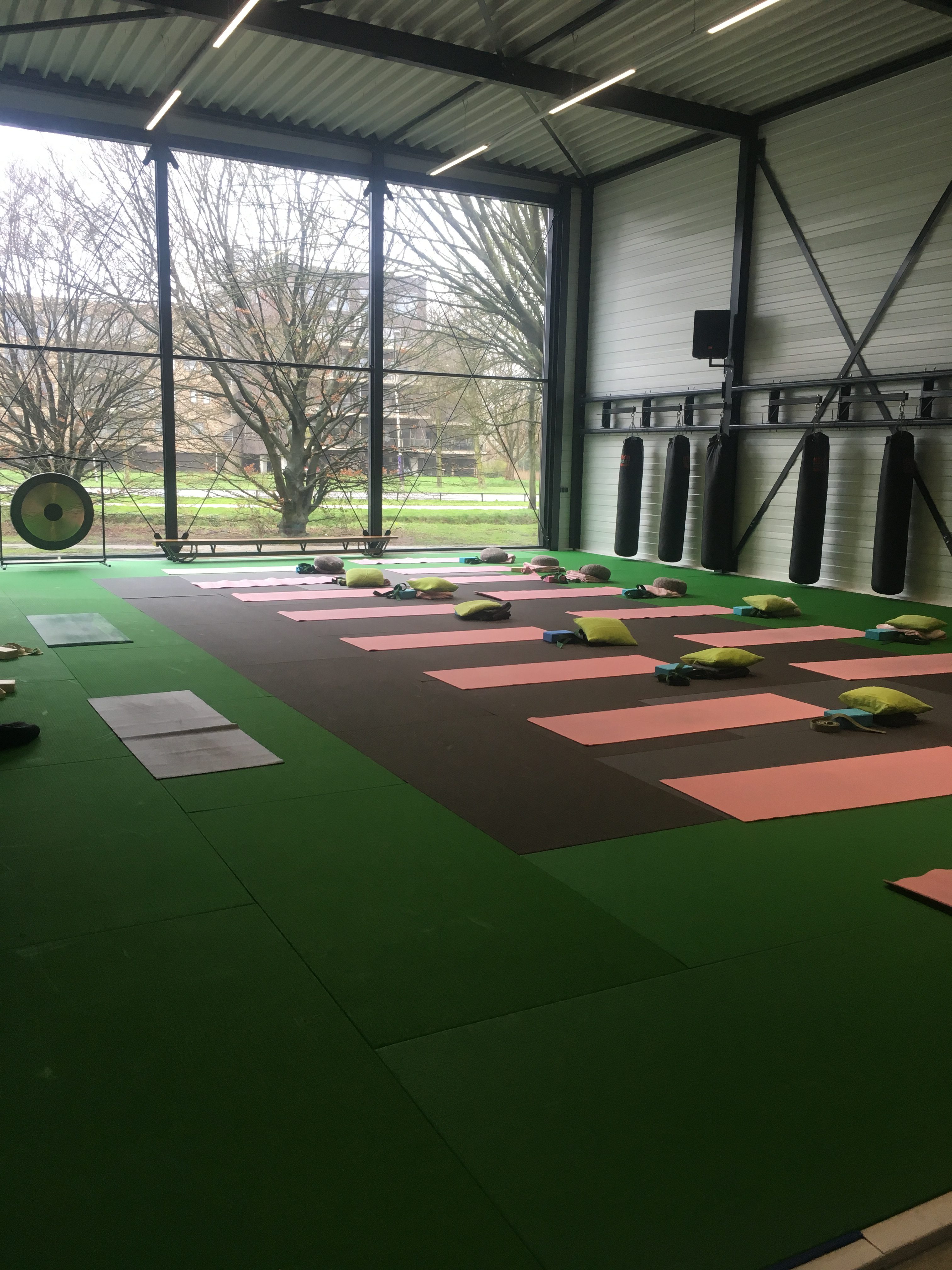 Yoga Workshop